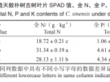 立地環(huán)境改造對古樹根系分布特征的影響——以 44011111322000296號樸樹為例*